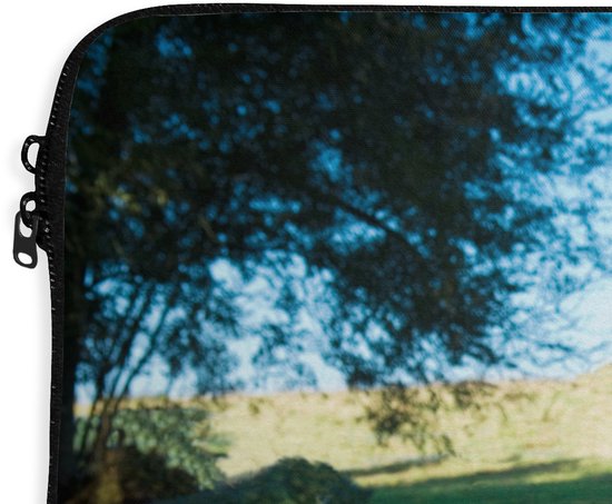 Laptophoes 13 inch - Varkens - Dieren - Landschap - Laptop sleeve - Binnenmaat 32x22,5 cm - Zwarte achterkant