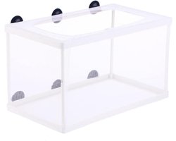 Visbroer Net - Grote Broedkooi met Zuignap voor Aquarium - Viskweek Incubator