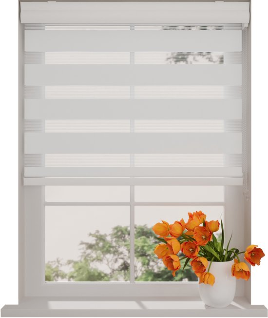 Duo Roller Blind Splendid Translucent White 220 x 175 cm