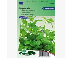 Sluis Garden - Peterselie Gewone Snij 2