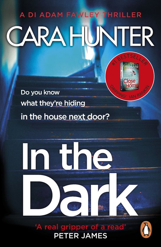 DI Fawley 2 - In The Dark - cover