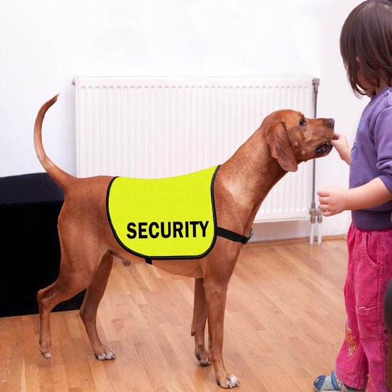Waarschuwingsvest
