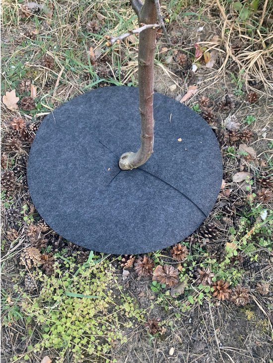 Bertoni Onkruidwerende Schijven 3 Stuks - Mulchschijven van Vilt - Water- & Luchtdoorlatend - Grijs (Diameter: 40 cm) van Bertoni — afbeelding 3