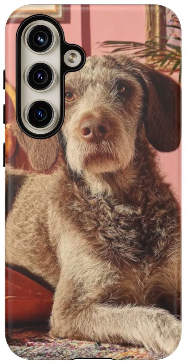 Bruine Hond Ontspant Binnen – Telefoonhoesje Geschikt voor Samsung Galaxy S24