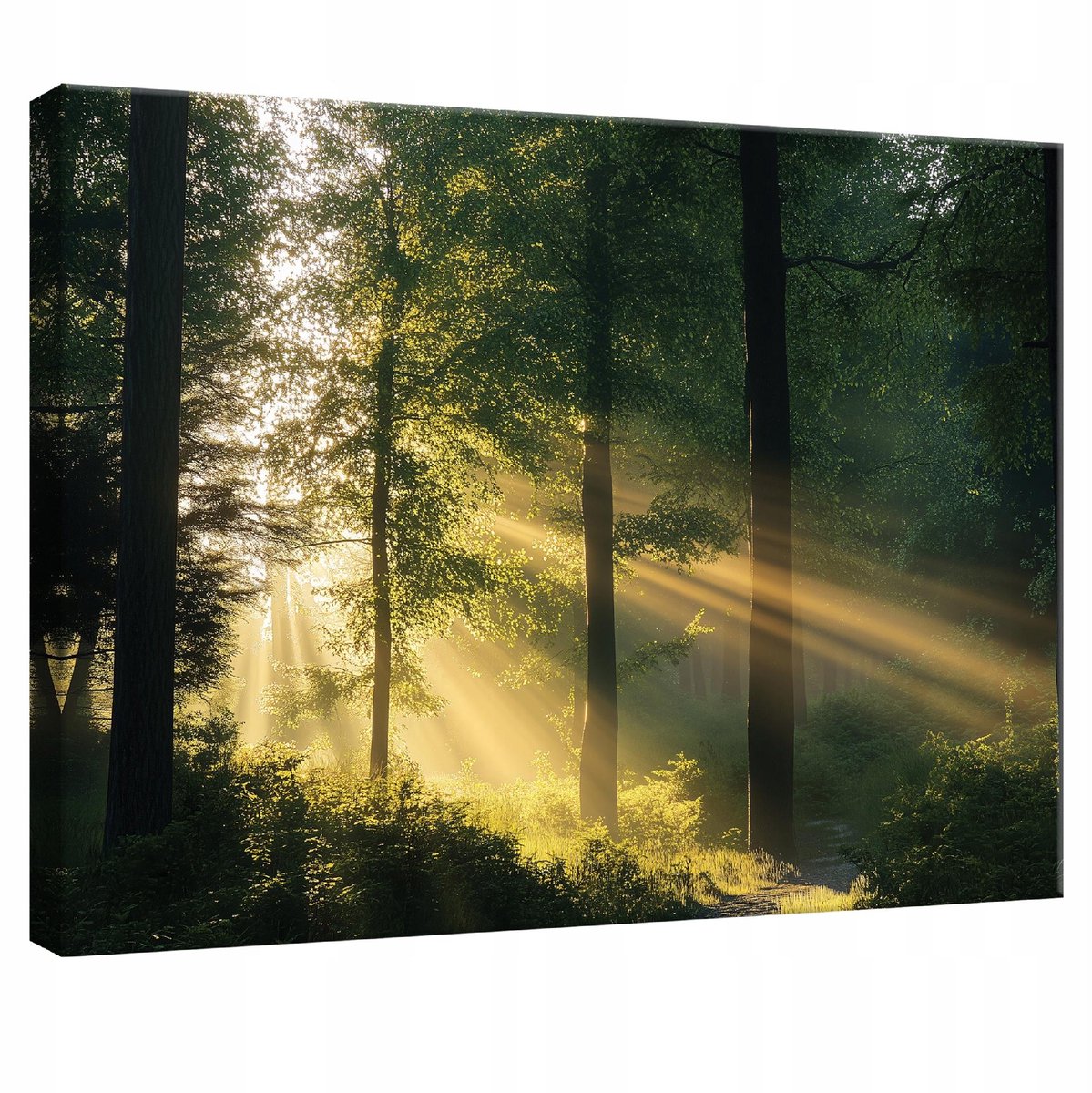 WALLARENA Canvas schilderij - 60x40 cm - afbeelding van een bos met bomen voor slaapkamer, woonkamer en keuken multikleurig