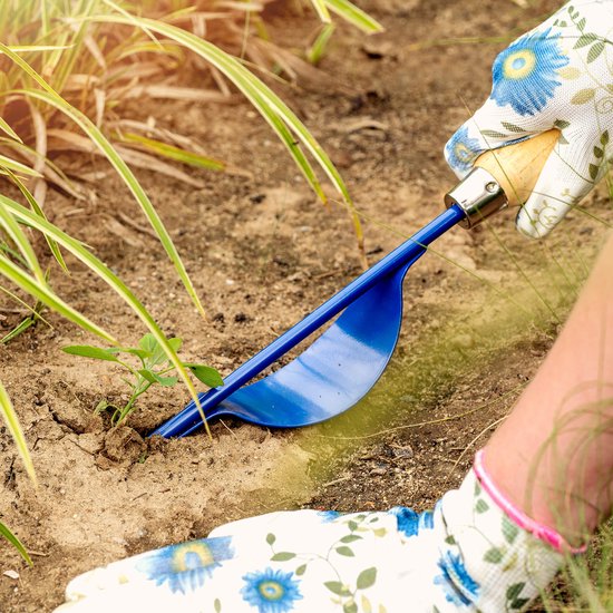 KADAX Robuuste onkruidsteker van roestvrij staal, handmatige onkruidsteker met houten handvat, onkruidtrekker, onkruidjager, tuinwieder, worteljager (36,5 cm, blauw) van KADAX — afbeelding 2