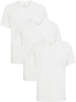 WE Fashion Heren Regular fit T-shirt met V-hals van 100% katoen, 3-pack