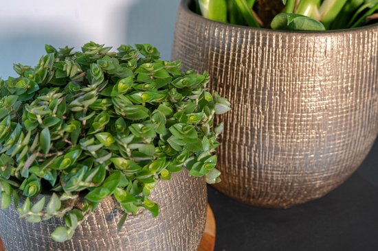 Steege Plantenpot - modern design - goudkleurig - 32 x 36 cm - bloempot