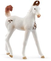 schleich HORSE CLUB - Marwari Veulen - 14896