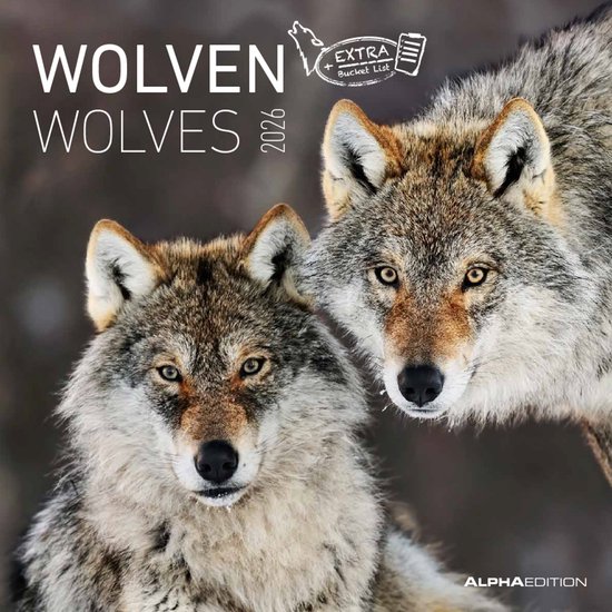 Calendrier illustré 2026 - Loups - Calendrier mural - Néerlandais - 30 x 30 cm