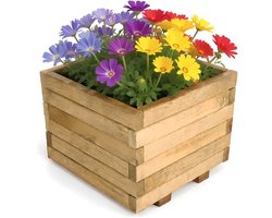 Plantenbak voor buiten met Worteldoek - Geïmpregneerd EU Grenenhout - Kweekbak - Moestuinbak - 40 x 40 cm
