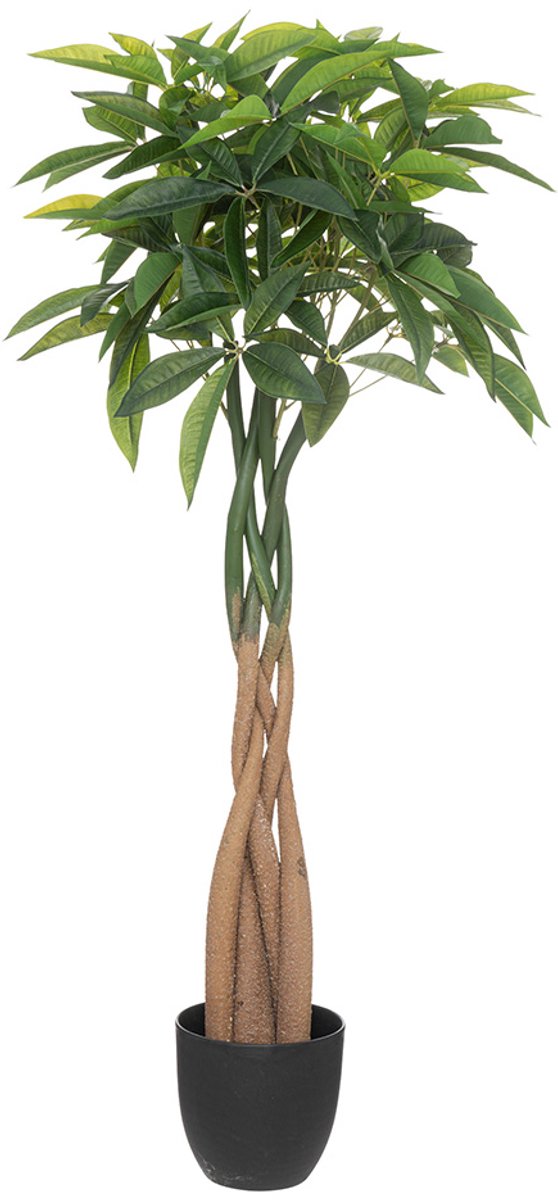 Atmosphera Créateur d'intérieur® Kunstplant Pachira H120 cm Noir
