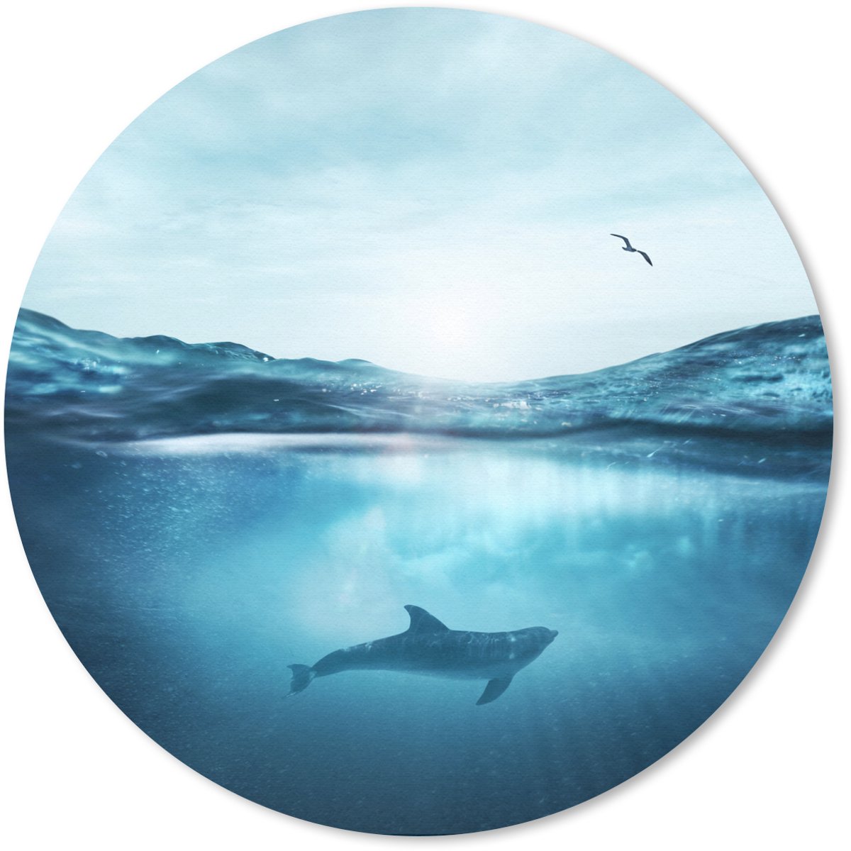 Muismat rond 20x20 cm - Mousepad Dolfijn - Zee - Vogel - Ronde muismatten