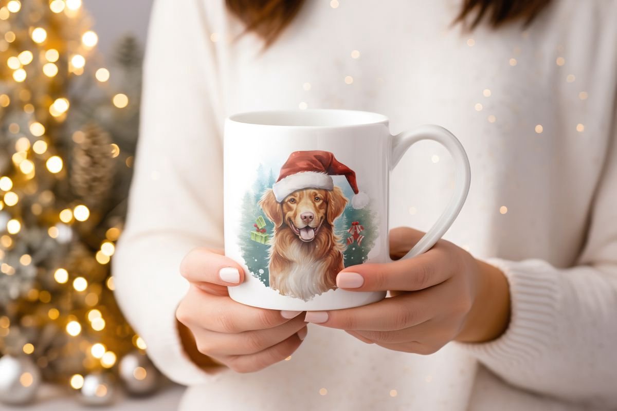 Mok Nova Scotia Duck Tolling
