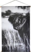 Schoolplaat Schotse Hooglander - 60xH90 cm
