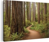 Artaza Canvas Schilderij Pad door een Sequoiabos - 90x60 - Wanddecoratie - Foto Op Canvas - Canvas Print