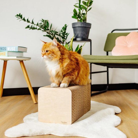 Creative Pets Kattenkrabplank | Krabplank Verstevigd met Multiplex | Natuurlijke krabplanken | Stevig Krabmeubel Kat | Hoogwaardige Kartonnen Krabplanken | Afmetingen 37 x 21,5 x 21,5 cm
