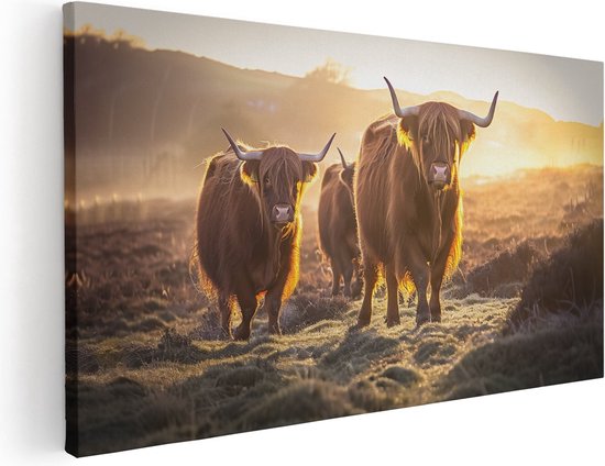 Artaza Canvas Schilderij Schotse Hooglander - 80x40 cm - Wanddecoratie Woonkamer - Muurdecoratie Zonsopgang - Schilderijen Op Canvas