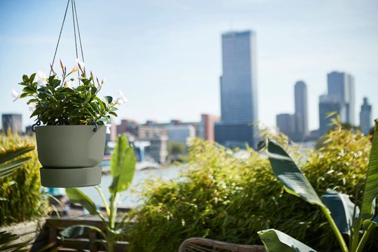 Groene hangpot met witte bloemen, hangend boven een stadslandschap.