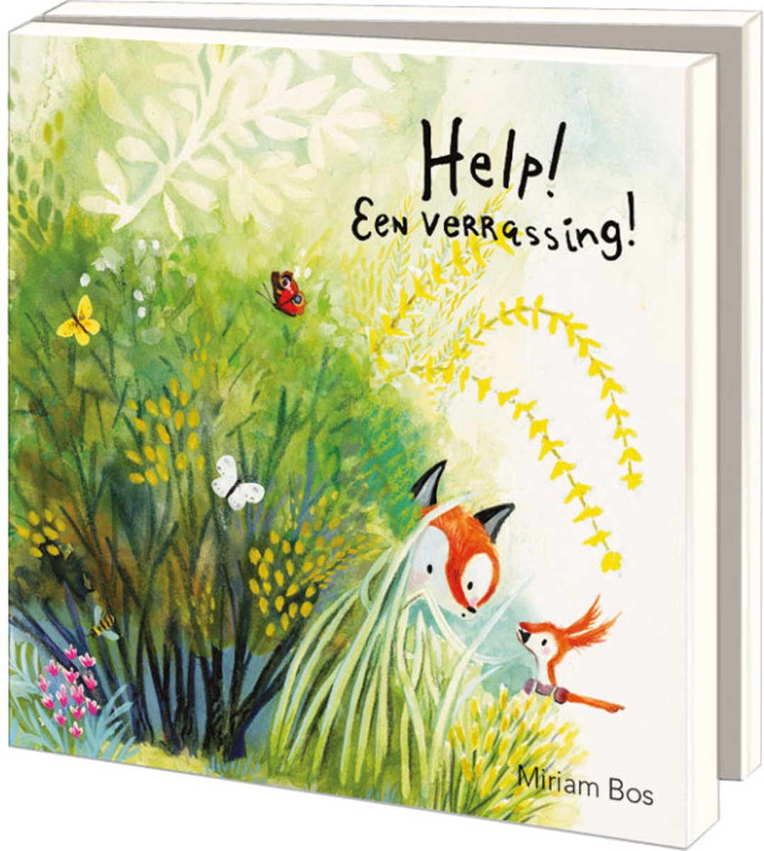 Notecards 10 stuks met envelop help een verrassing - bos 15x15 cm