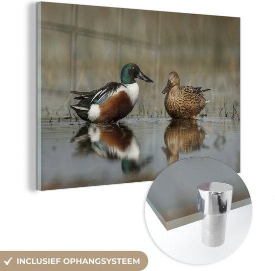 MuchoWow® Glasschilderij 90x60 cm - Schilderij acrylglas - Eend - Water - Reflectie - Foto op glas - Schilderijen