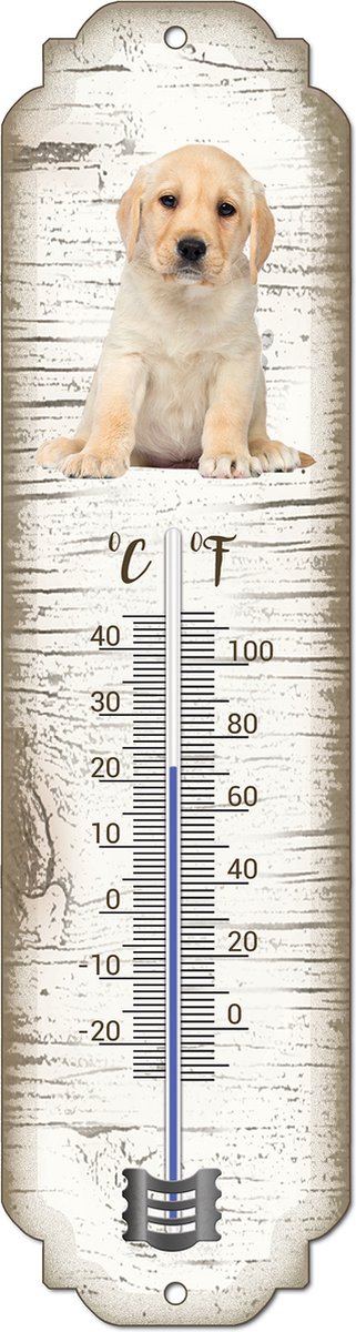 Thermometer: Labrador Pup | Hondenras | Temperatuur binnen en buiten | -25 tot +45C