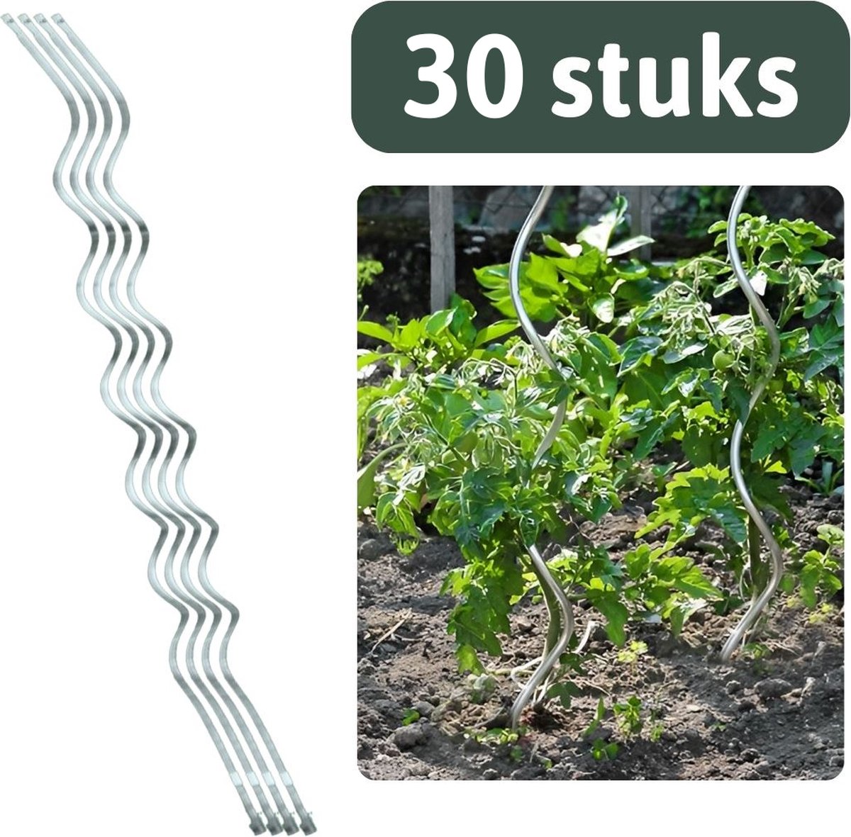 Famiflora tomatenspiraal 1M50 (150 cm) - set van 30 stuks - Gegalvaniseerde tomatenspiralen - 6mm dikte - Houdt zware tomatentrossen overeind