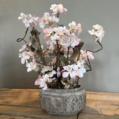Seta Fiori - Mini bloesemboom - sakura - bonsai - kunstboom - compleet in schaal - 40cm -