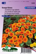 Sluis Garden Marigold Orange Gitana (Calendula officinalis)