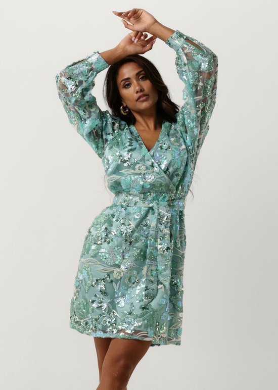 Freebird Dieke Jurken Dames Rok Jurk Groen Maat XL bol