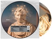 Offspring - Splinter (RSD 2024 Picture Disc LP)