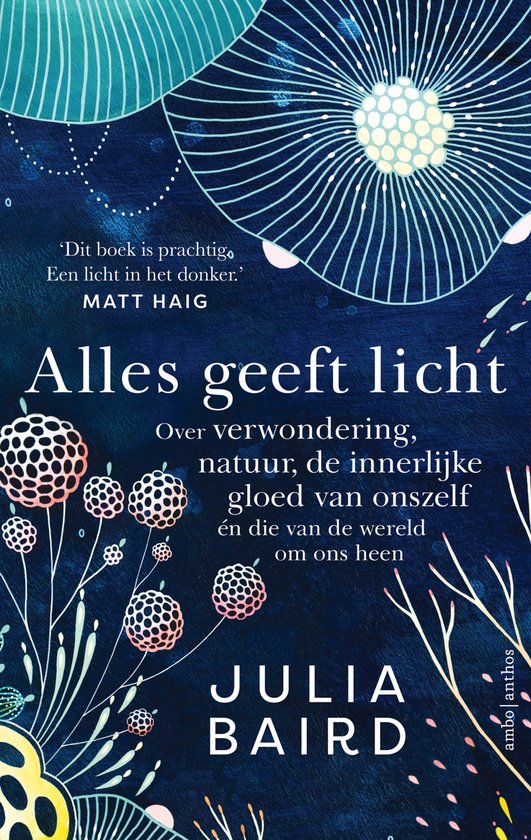 Alles geeft licht - cover