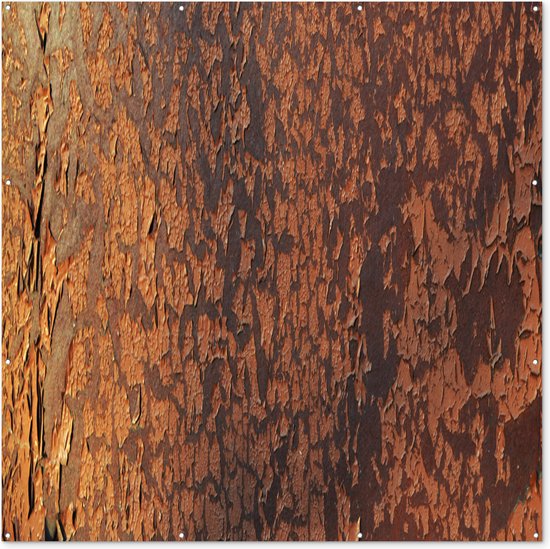 Poster Jardin Rouille - Marron - Oranje - Métal - Motif - Structure - 200x200 cm - Toile jardin - Poster extérieur