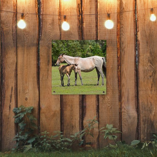 Posters de jardin Paarden - Herbe - Ombre - 50x50 cm - Toile de jardin - Affiche extérieure