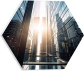 PVC Schuimplaat Hexagon - Gebouwen - Stad - Glazen - Ramen - Zon - 30x26.1 cm Foto op Hexagon (Met Ophangsysteem)