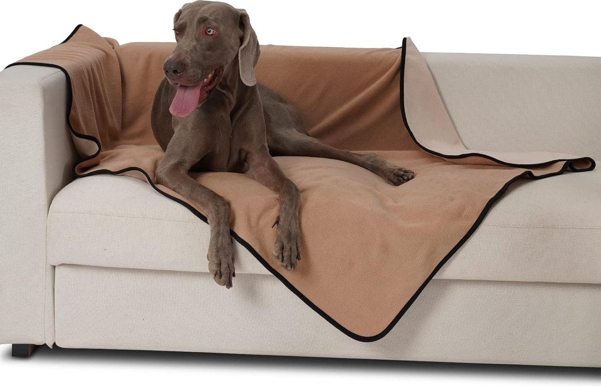 PRITOK Waterdichte Hondendeken: Stoffen Hondenmat, Zacht, Aan Beide Zijden Bruikbare Huisdierdeken Bescherming Voor Bank En Bed Wasbare Hondenmat Grote Kleine Honden 100 X 130 Cm Grijs 3339935594 PRITOK Waterdichte Hondendeken: Stoffen Hondenmat, Zacht, Aan Beide Zijden Bruikbare Huisdierdeken Bescherming Voor Bank En Bed Wasbare Hondenmat Grote Kleine Honden 100 X 130 Cm Grijs 3339935594