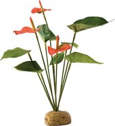 Exo Terra Rainforest Plant Anthurium buisson par pièce