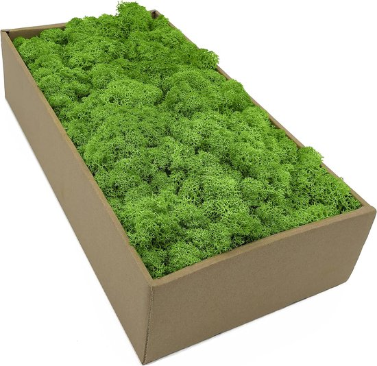 IJslands mos - mos in 5 versch. kleuren 250gr / 500 gr / 1kg echt geconserveerd natuurlijk mos voor mosbeeld knutselen decoratie en modelbouw (grasgroen licht, 500 g)