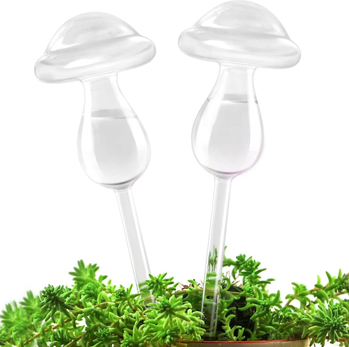Nieuwe plantenbewatering, zelfwatergevende ballen, handgeblazen plantenwaterbollen van helder glas voor binnen en buiten, 2 paddenstoelen