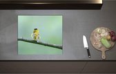 Inductieplaat Beschermer - Achteraanzicht van Zingend Geel Wilsons Vogeltje op een Tak - 58x51 cm - 2 mm Dik - Inductie Beschermer - Bescherming Inductiekookplaat - Kookplaat Beschermer van Zwart Vinyl