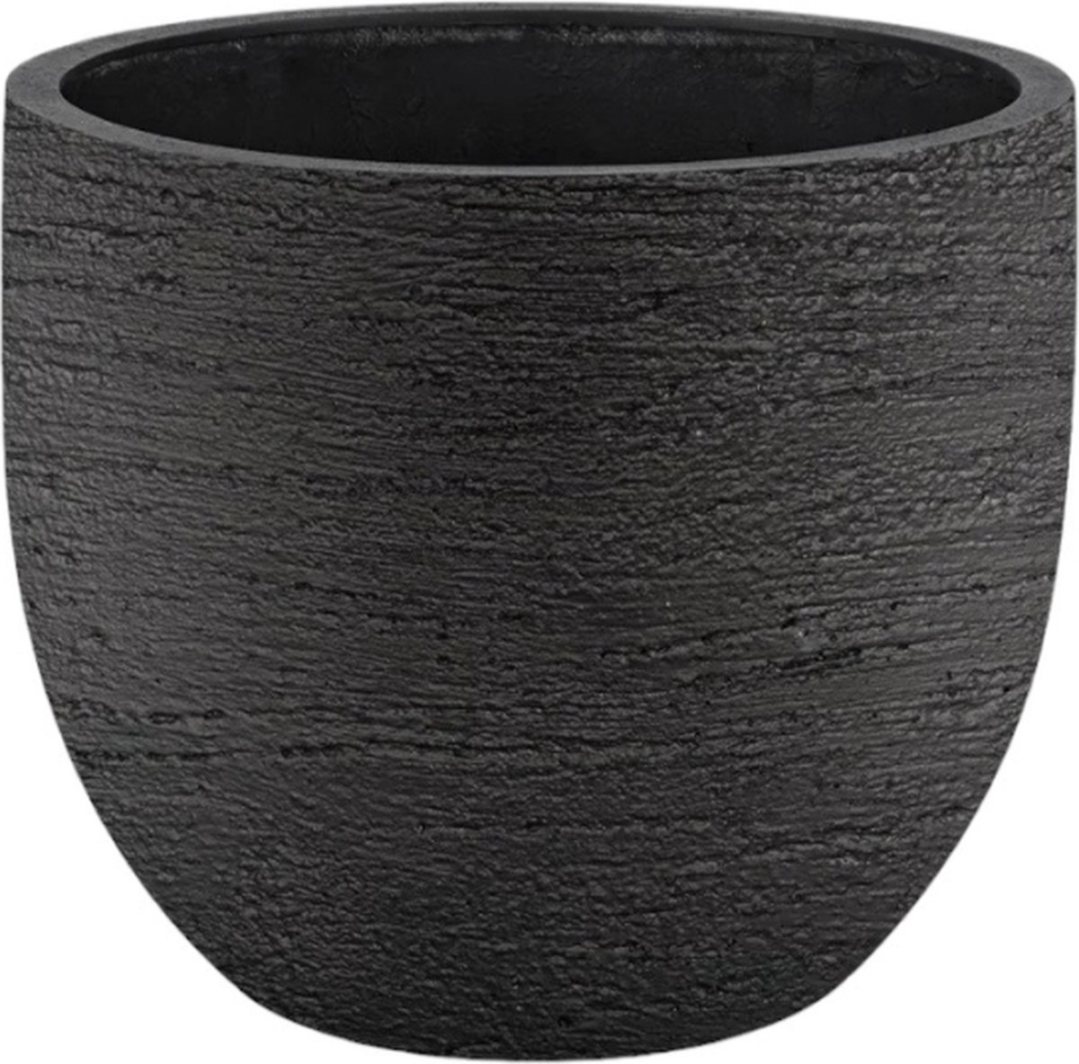 Combi deal - Olijfboom Olea Europaea Cultivo inclusief Terreno New Egg - 210cm