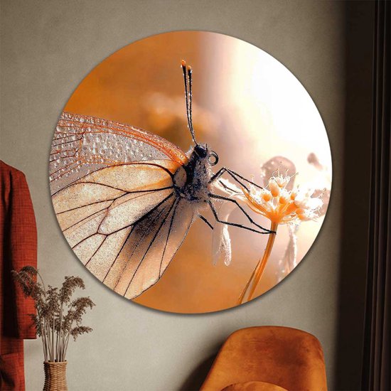 Muurcirkel Vlinder met herfstkleuren | Forex | Ø 80cm | Inclusief ophangsysteem
