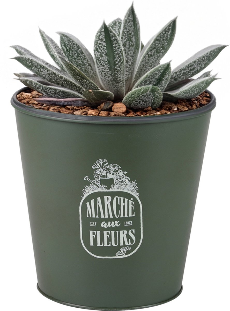 Goedkoopste Sunnydays Emmer/plantenpot/bloempot - zink - legergroen - D23 x H22 cm