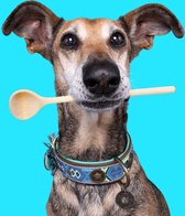 DWAM Dog with a Mission – Halsband hond – Hondenhalsband – Blauw – XXS – Leer – Halsomvang tussen 19-24 x 2 cm – Boho Juan