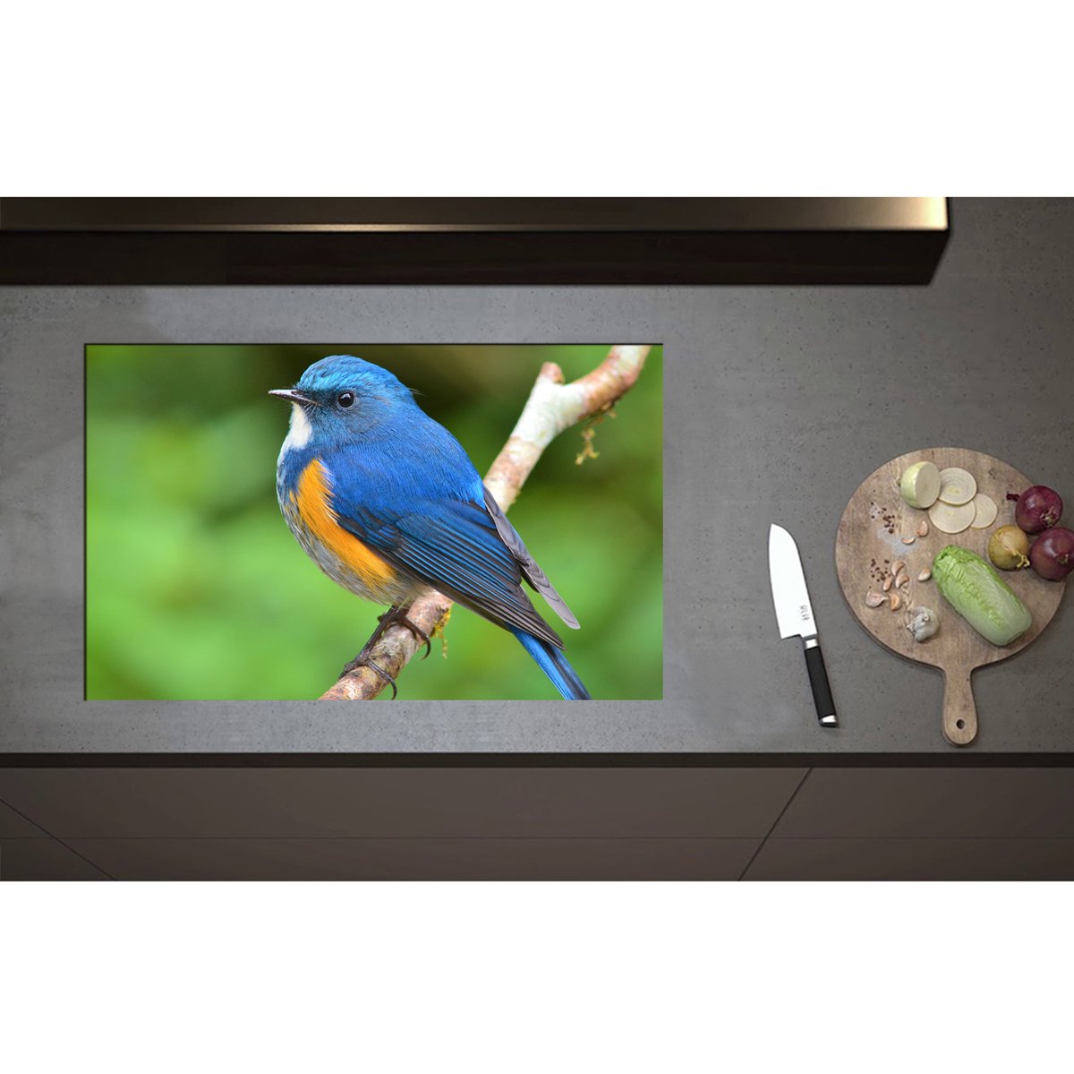 Inductieplaat Beschermer - Blauwe Vogel met Oranje Borstje op Dunne Tak - 80x50 cm - 2 mm Dik - Inductie Beschermer - Bescherming Inductiekookplaat - Kookplaat Beschermer van Zwart Vinyl