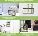 Vier afbeeldingen: bloemen in vaasjes, kruiden in vaasjes, planten aan de muur, planten op een bureau.