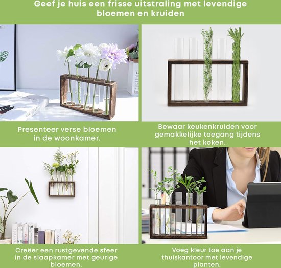 Vier afbeeldingen: bloemen in vaasjes, kruiden in vaasjes, planten aan de muur, planten op een bureau.