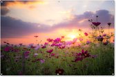 Muurdecoratie Bloemen - Roze - Zonsondergang - Natuur - Weide - Horizon - 180x120 cm - Tuinposter - Tuindoek - Buitenposter