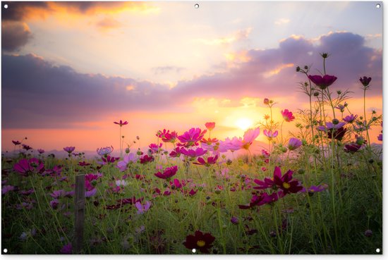 Bloemen - Roze - Zonsondergang - Natuur - Weide - Horizon - Tuindoek