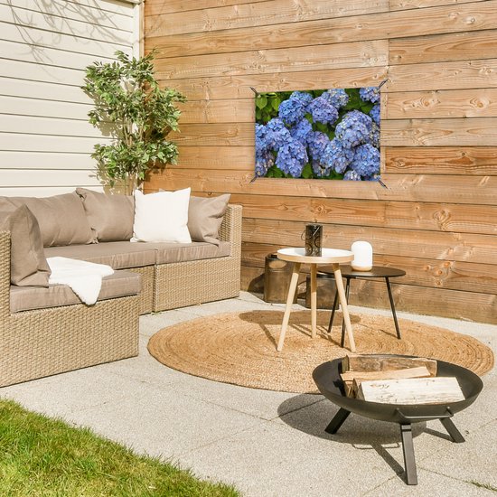 Bouquet de fleurs d'hortensia affiche de jardin 60x40 cm - petit - Toile de jardin / Toile d'extérieur / Peintures pour l'extérieur (décoration de jardin)